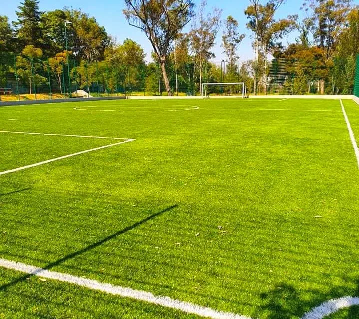 Campos deportivos